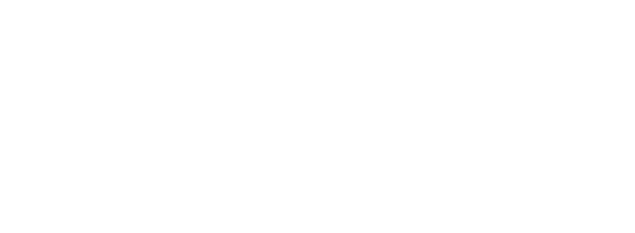 Browsair Logo